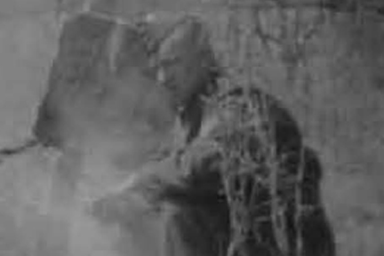 Black and white photo of a Second World War soldier behind smoke and branches.